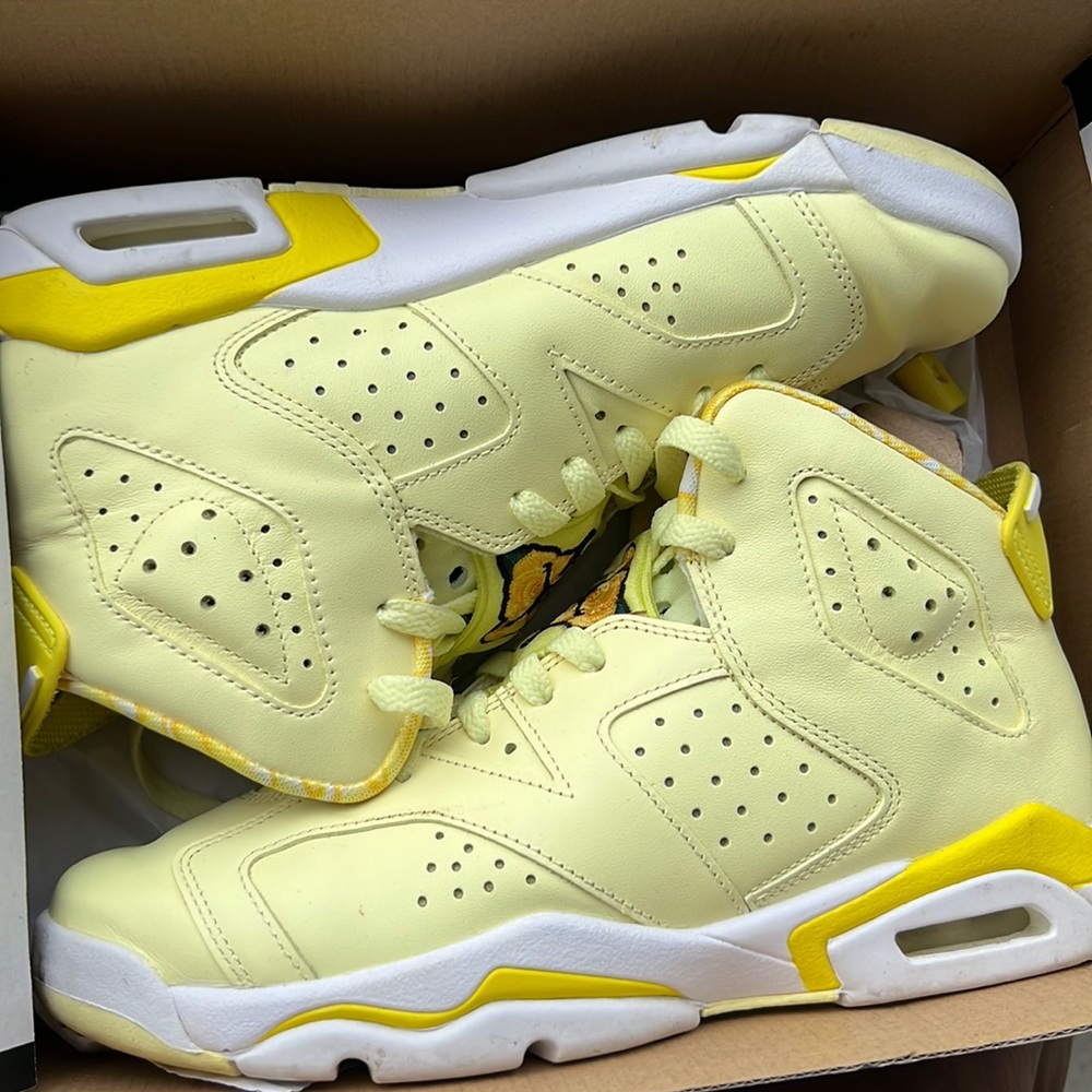 Jordan 6s